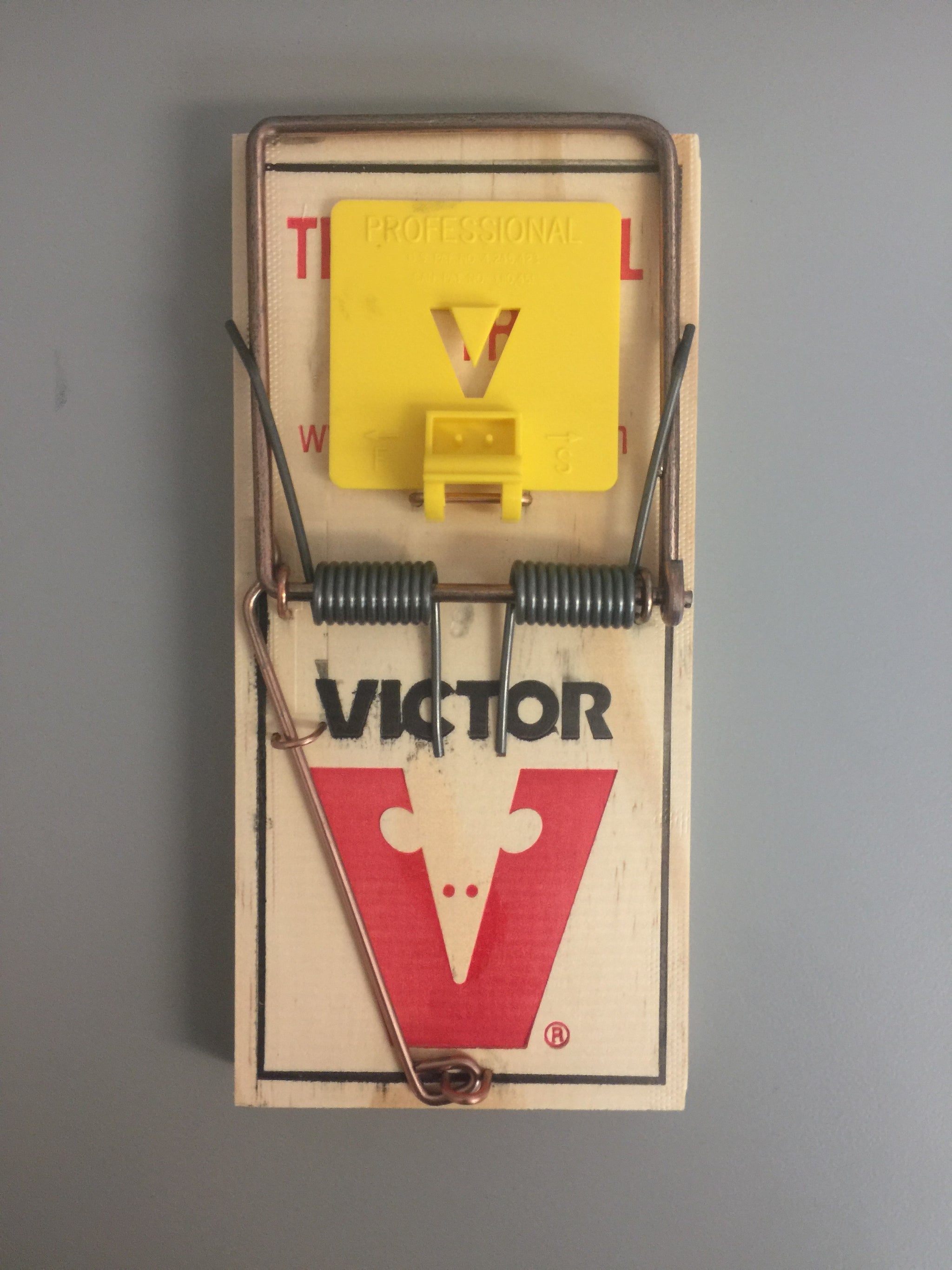 Victor_Large_2_2048x.jpg?v=